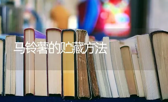 冬季樱桃树如何防寒？ | 瓜果种植