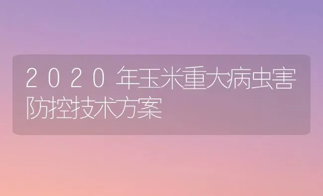 2020年玉米重大病虫害防控技术方案 | 种植病虫害防治