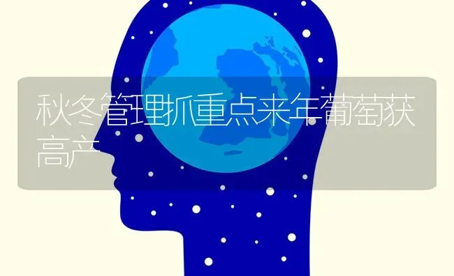秋冬管理抓重点来年葡萄获高产 | 瓜果种植