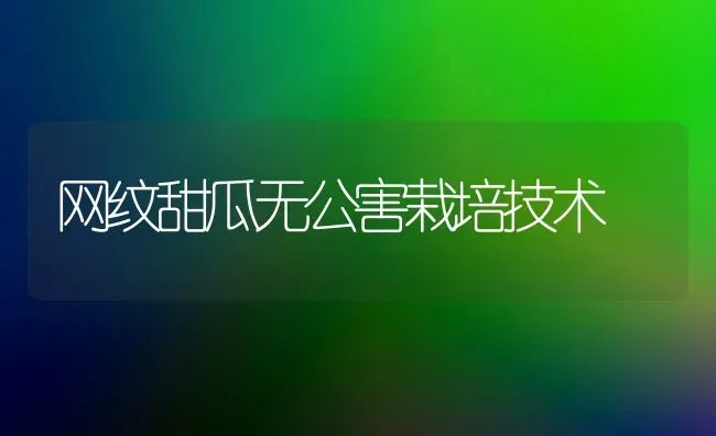 网纹甜瓜无公害栽培技术 | 瓜果种植