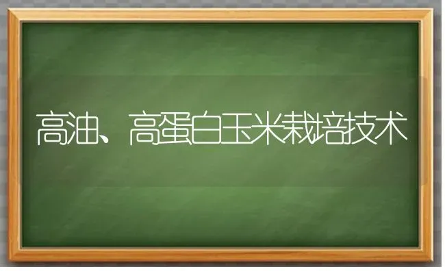 高油、高蛋白玉米栽培技术 | 粮油作物种植
