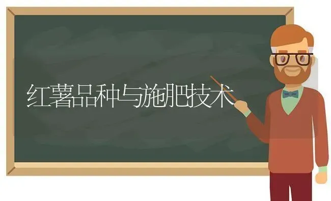 红薯品种与施肥技术 | 种植肥料施肥