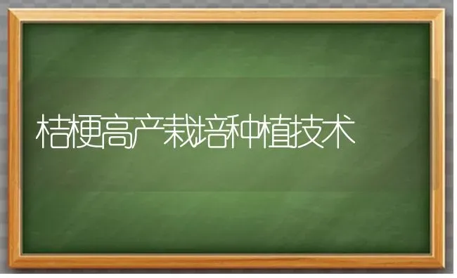 桔梗高产栽培种植技术 | 植物种植百科