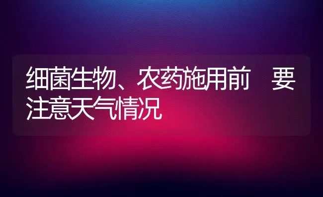 细菌生物、农药施用前 要注意天气情况 | 种植病虫害防治