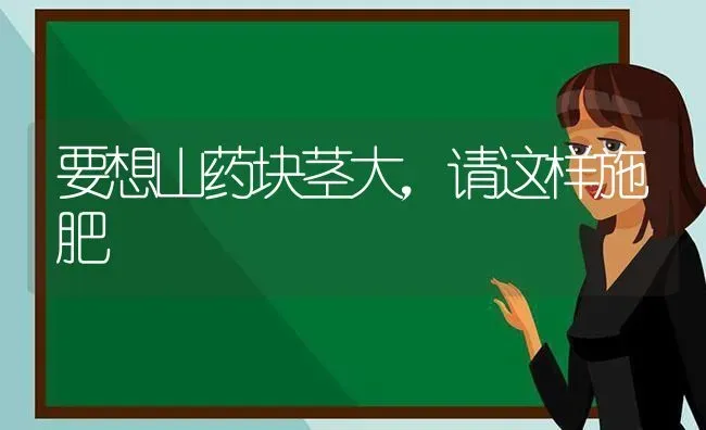 要想山药块茎大，请这样施肥 | 种植肥料施肥