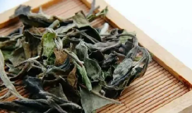 食用常识|眉茶属于什么茶