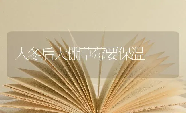 入冬后大棚草莓要保温 | 瓜果种植