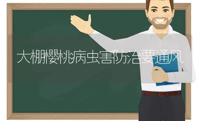 大棚樱桃病虫害防治要通风 | 种植病虫害防治