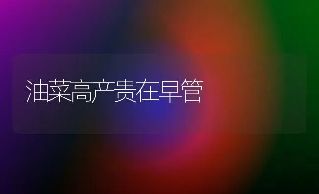 油菜高产贵在早管 | 粮油作物种植