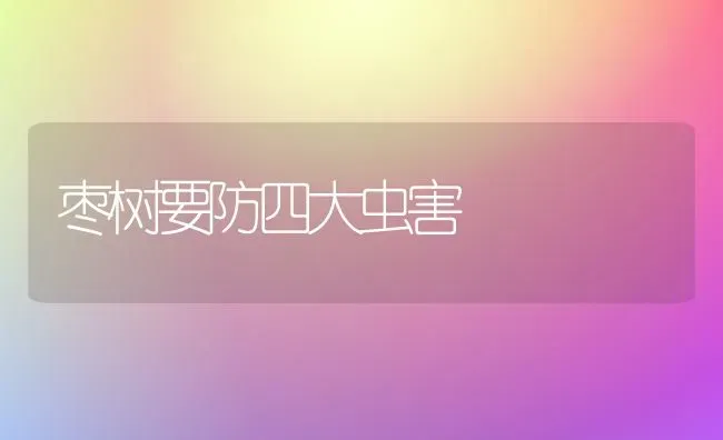 枣树要防四大虫害 | 瓜果种植