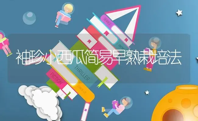 袖珍小西瓜简易早熟栽培法 | 瓜果种植