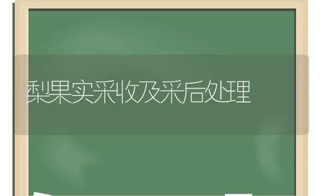 梨果实采收及采后处理 | 瓜果种植