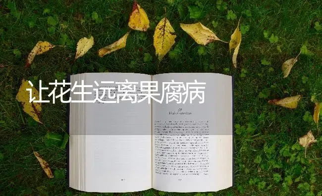 让花生远离果腐病 | 瓜果种植