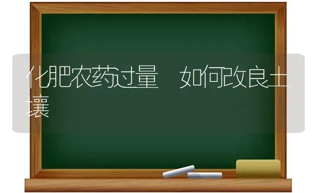 化肥农药过量 如何改良土壤 | 种植病虫害防治