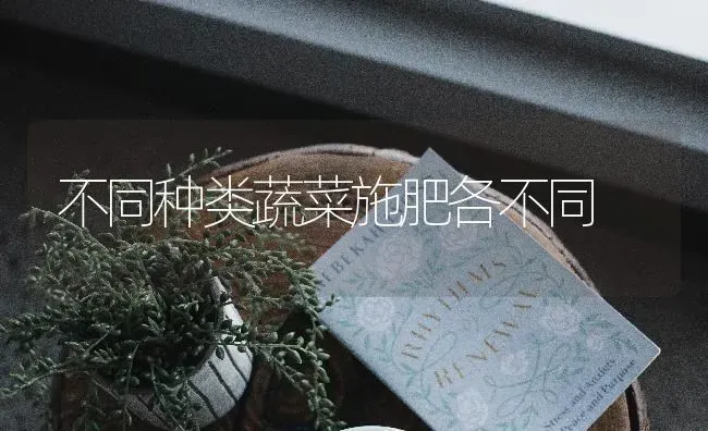 不同种类蔬菜施肥各不同 | 蔬菜种植