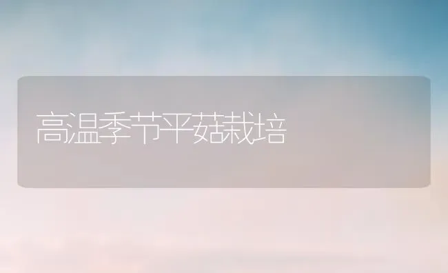 高温季节平菇栽培 | 食用菌种植