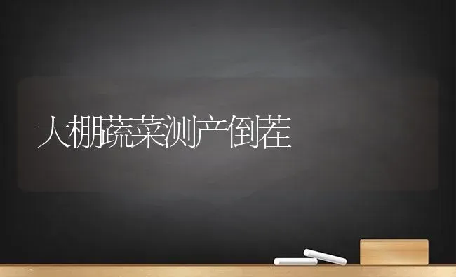 大棚蔬菜测产倒茬 | 蔬菜种植