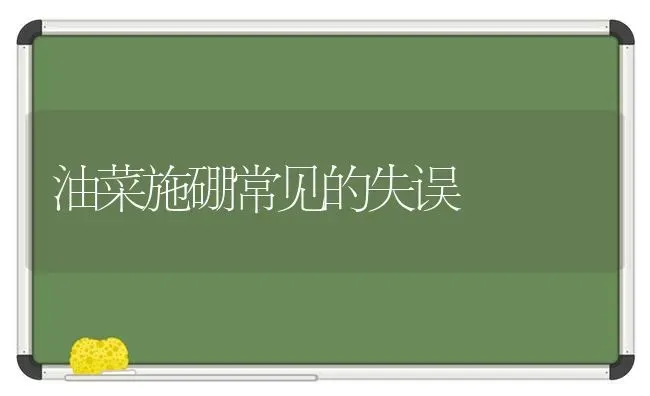 油菜施硼常见的失误 | 粮油作物种植
