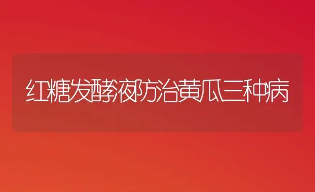 红糖发酵液防治黄瓜三种病 | 蔬菜种植