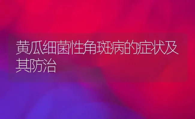 黄瓜细菌性角斑病的症状及其防治 | 蔬菜种植