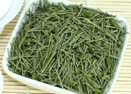 植物施肥|松针可以做肥料吗