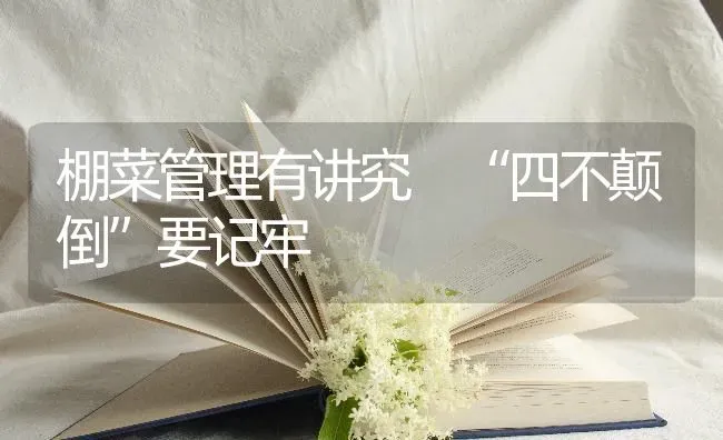 棚菜管理有讲究 “四不颠倒”要记牢 | 蔬菜种植