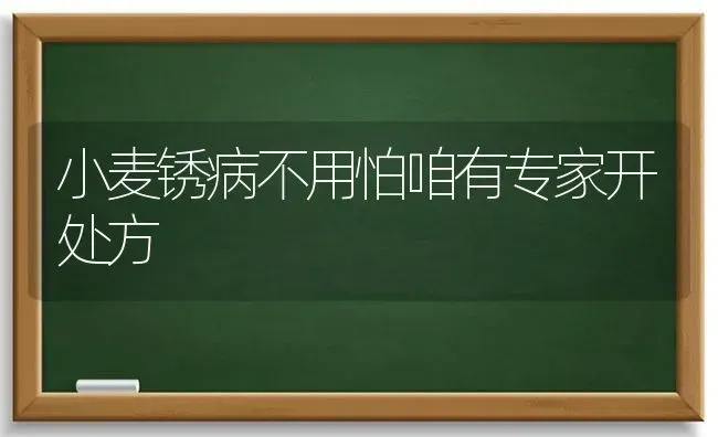 小麦锈病不用怕咱有专家开处方 | 粮油作物种植