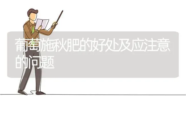 葡萄施秋肥的好处及应注意的问题 | 瓜果种植