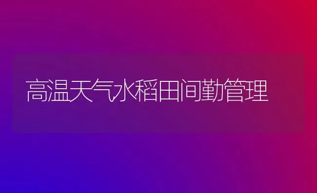 高温天气水稻田间勤管理 | 粮油作物种植