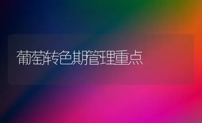 葡萄转色期管理重点 | 瓜果种植