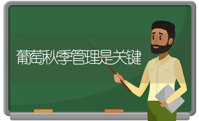葡萄秋季管理是关键 | 瓜果种植