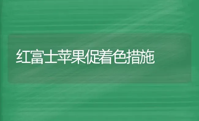 红富士苹果促着色措施 | 瓜果种植