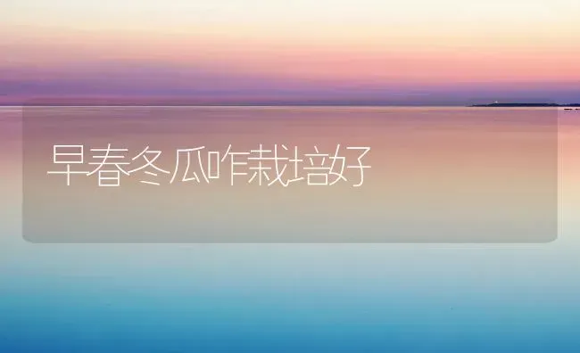 早春冬瓜咋栽培好 | 蔬菜种植