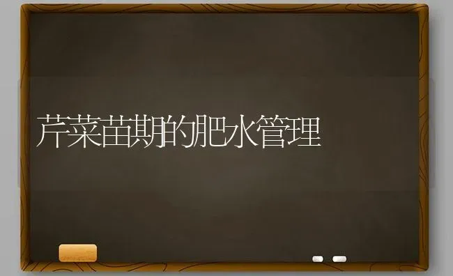 芹菜苗期的肥水管理 | 蔬菜种植