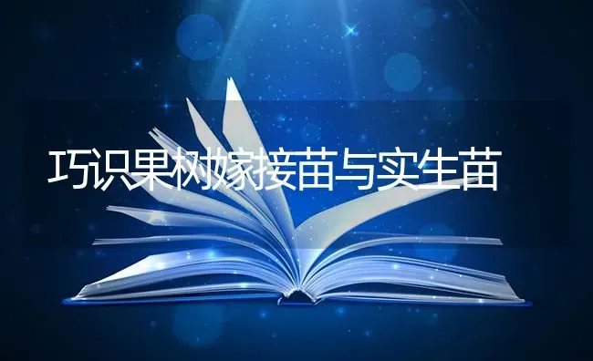 巧识果树嫁接苗与实生苗 | 瓜果种植