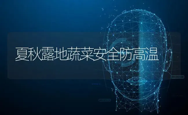 夏秋露地蔬菜安全防高温 | 蔬菜种植
