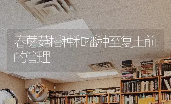 春蘑菇播种和播种至复土前的管理 | 食用菌种植