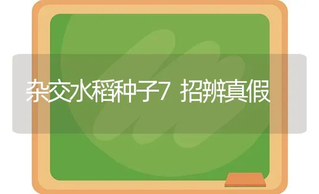 杂交水稻种子7招辨真假 | 粮油作物种植