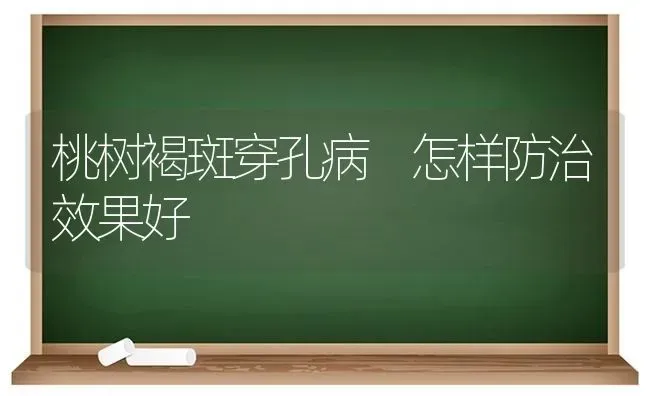 桃树褐斑穿孔病 怎样防治效果好 | 瓜果种植