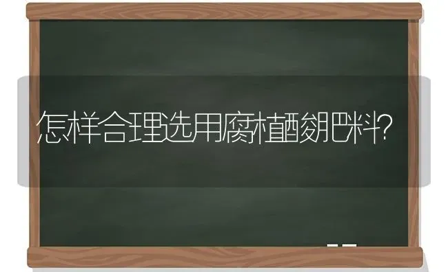 怎样合理选用腐植酸肥料？ | 种植肥料施肥