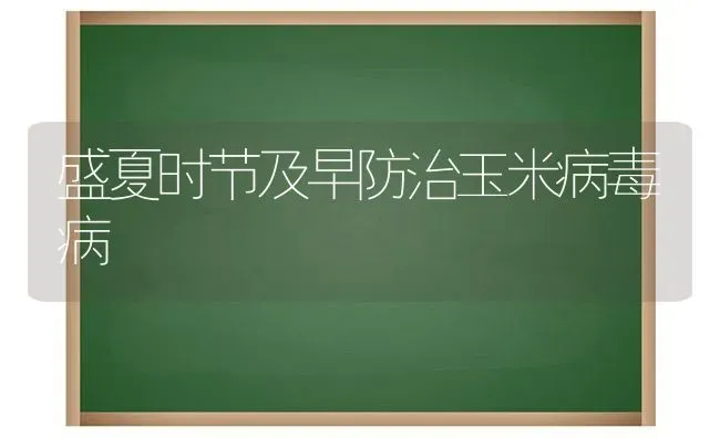 盛夏时节及早防治玉米病毒病 | 粮油作物种植