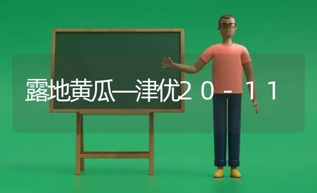 露地黄瓜—津优20-11 | 蔬菜种植