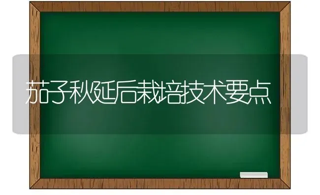 茄子秋延后栽培技术要点 | 蔬菜种植