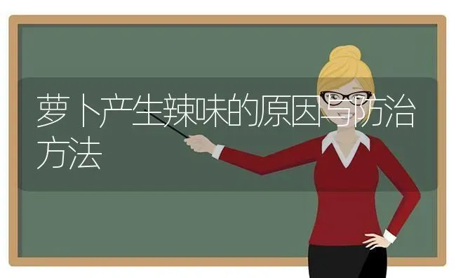 萝卜产生辣味的原因与防治方法 | 蔬菜种植