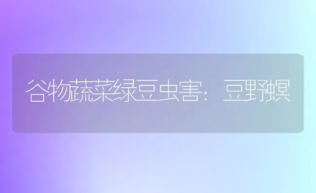 谷物蔬菜绿豆虫害：豆野螟 | 蔬菜种植