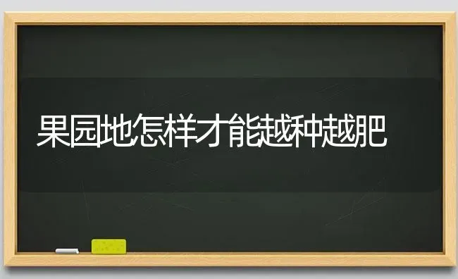 果园地怎样才能越种越肥 | 瓜果种植