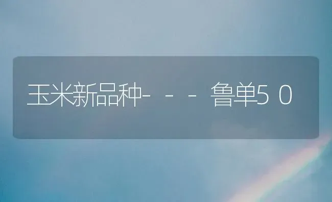 玉米新品种---鲁单50 | 粮油作物种植