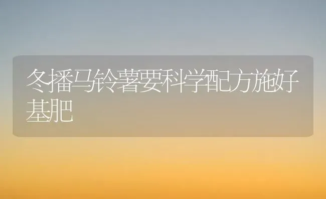冬播马铃薯要科学配方施好基肥 | 粮油作物种植