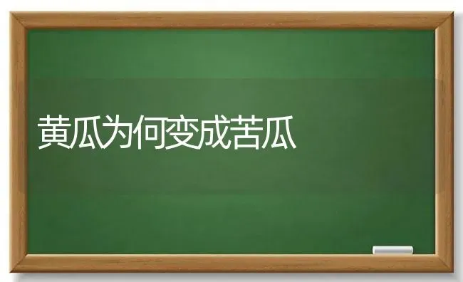 黄瓜为何变成苦瓜 | 蔬菜种植