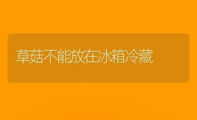 草菇不能放在冰箱冷藏 | 食用菌种植